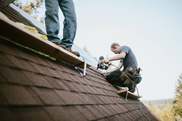 Best Roof Waterproofing Services  in Springmont, PA
